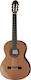 Amalio Burguet Klassisch Gitarre 4/4 2M Cedar Natürlich