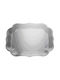 Mario Luca Giusti Gioconda Trasparente Serving Tray Plastic Rectangular Serving Tray 43x33.2cm H.VSS.VG1 1pcs