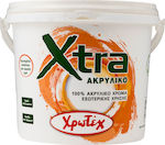 CHrotech Xtra Plastic Acrilyc Paint for Exterior Use White 750ml