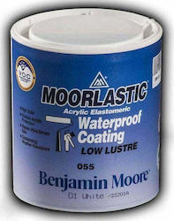 Benjamin Moore 055 Moorelastic Elastomer Acrilic Etanșant