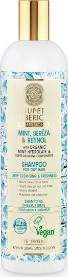 Natura Siberica Mint Bereza & Retinol Σαμπουάν κατά της Πιτυρίδας για Λιπαρά Μαλλιά 400ml