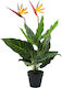 vidaXL Artificial Plant in Pot Bird of Paradise Multicolour 66cm 1pcs