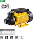 F.F. Group VWP 500 Electric Surface Water Pump 0.5hp Single-Phase