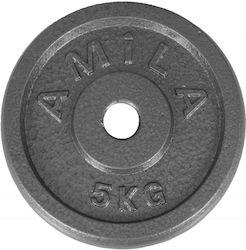 AMILA Metal Plate 1 x 5kg Ø28mm AMILA Metal Plate 1 x 5kg Ø28mm