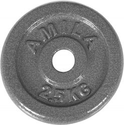 AMILA Metal Plate 1 x 2.5kg Ø28mm AMILA Metal Plate 1 x 2.5kg Ø28mm