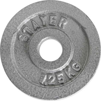 Amila Stayer Scheibenset Metall 1 x 1.25kg Ø28mm