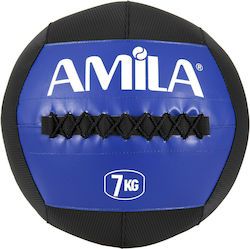 Amila Wall Ball 35cm 7kg Blue