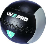 Live Pro B-8100-03 Wall Ball 35cm 3kg Black