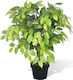 vidaXL Artificial Plant in Pot Ficus Lyrata Green 60cm 1pcs