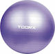 Toorx Übungsbälle Pilates 75cm, 1.35kg in Lila Farbe