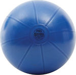 Toorx Bälle Pilates 55cm in Blau Farbe