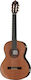 Amalio Burguet Vanessa Cedar Classical Guitar 4/4 Natural