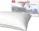 Sleeping Pillow Alternative With Single Cotton Cotton White Carnation 50x70