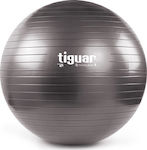 Tiguar Body Ball 3S Μπάλα Pilates 70cm
