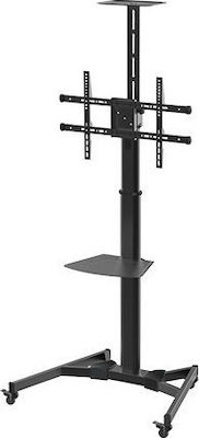 Lumi TTV03-46TW TV Mount Floor up to 70" and 50kg