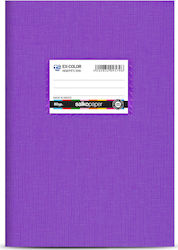 Salko Paper Caiet Cu dungi B5 50 de Foi EX-Color Violet 1buc