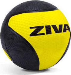 Ziva Medicine Ball Übungsbälle Medizin 3kg