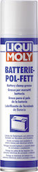 Liqui Moly Technische Sprays Elektrischer Kontakt Reiniger 300ml 3141 Batteriepole