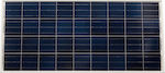 Victron Energy BlueSolar Polykristallin Solarmodul 175W 12V 1485x668x30mm