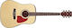 Ibanez Акустика Китара AW100 Natural