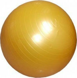 Power Force WS-6008 Balls Pilates 55cm , 2kg in Gold Color