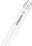 Osram LED Lampen Fluoreszenztyp 150cm für Fassung G13 und Form T8 Naturweiß 2300lm 1Stück