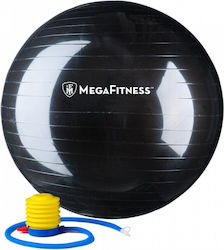 Ruilin 100624 Minge Pilates 75cm , 1.28kg în culoare Gri Ruilin 100624 Minge Pilates 75cm , 1.28kg în culoare Gri