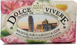 Nesti Dante Dolce Vivere 250gr