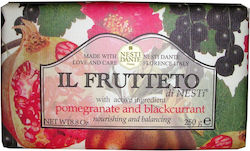 Nesti Dante Il Frutteto Soap Bar 250gr Nesti Dante Il Frutteto Soap Bar 250gr