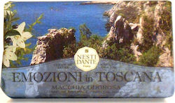 Nesti Dante Emozioni in Toscana 250gr