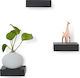 Shelves Wall S/3 Black 3pcs 10.5x8x3cm