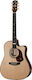 Maton Semi-Acoustic Guitar EM100C Natural Gloss