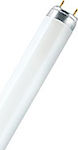 Ledvance Fluorescent Lamp with Shape T8 15W