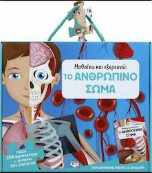 Μαθαίνω και Εξερευνώ, το Ανθρώπινο Σώμα