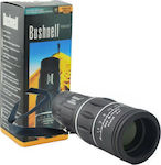 Bushnell Observation Binocular Day & Night