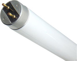 Λάμπα Φθορισμού T8 60cm 18w