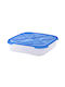Cyclops Microwave Plastic Lunch Box Fresco Blue 5100ml