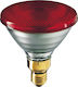 Philips Lampă Infraroșu 175W pentru Soclu E27