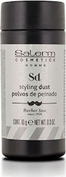 Salerm Homme Styling Dust 10gr