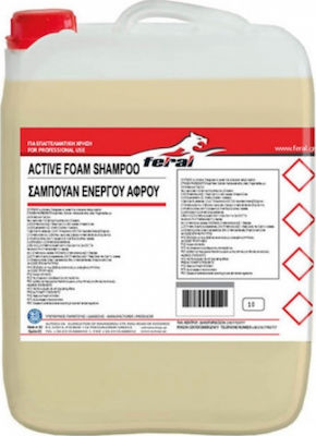 Feral Σαμπουάν Ενεργού Αφρού Car Wash Shampoo With Wax 10lt