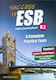 Success in Esb B2 6 Practice Tests