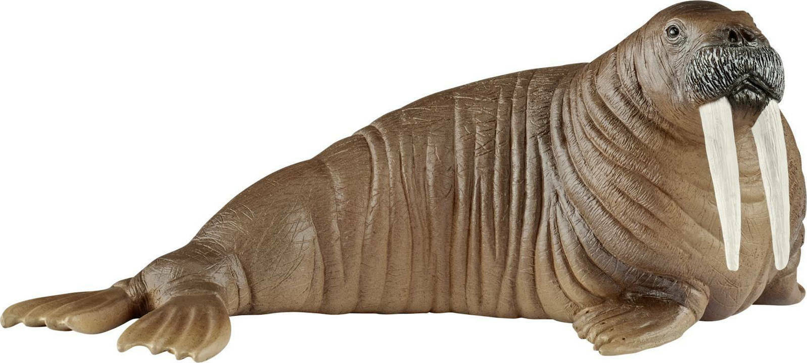 Schleich S Wild Life Walrus Skroutz Gr