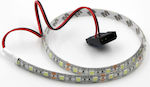 LED Strip LED Strip molex 0.5m