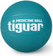 Tiguar Ball Medizin 2kg in Blau Farbe