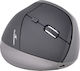 Bluestork Comfort Mouse