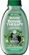 Garnier Botanic Therapy Green Tea Eucalyptus & Citrus Shampoos Shine for All Hair Types 400ml