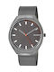 Skagen Grenen Watch Battery with Silver Metal Bracelet