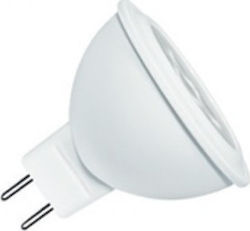 LED Bulb MR16 12V 5W-40W 6500K