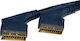 Prolink Καλώδιο Scart male - Scart male 3m Μπλε PGV7392-0300