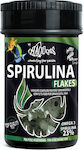 Haquoss Spirulina Flakes 250ml/40gr